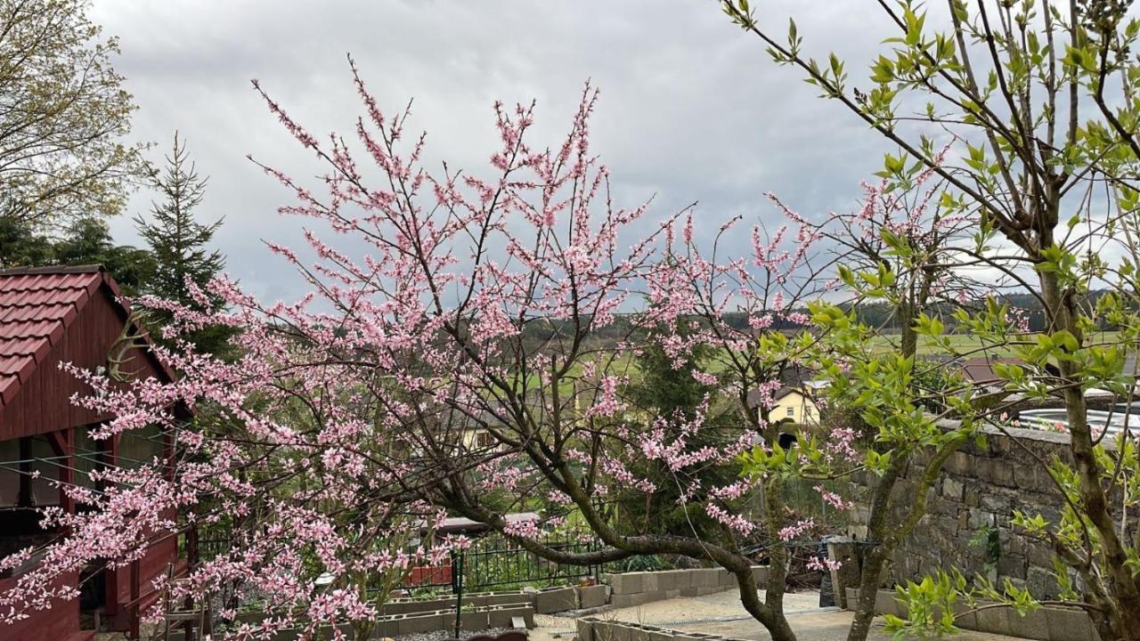 דירות Hoheneich Freinestwaldviertel מראה חיצוני תמונה
